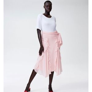 Universal Standard Rodarte skirt